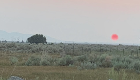 Susan Salvesen - Rexburg